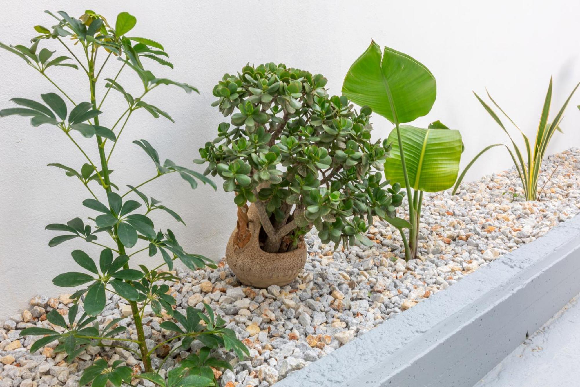 Garden Luxury Apartment Heraklion  Екстер'єр фото